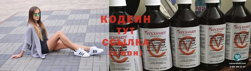 Кодеиновый сироп Lean Purple Drank  где купить наркоту  гидра ссылки  Белая Холуница 