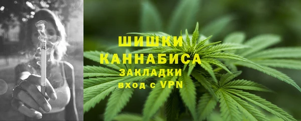 твердый Бутурлиновка