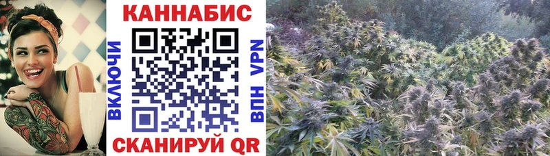 Шишки марихуана Ganja купить сайты Белая Холуница